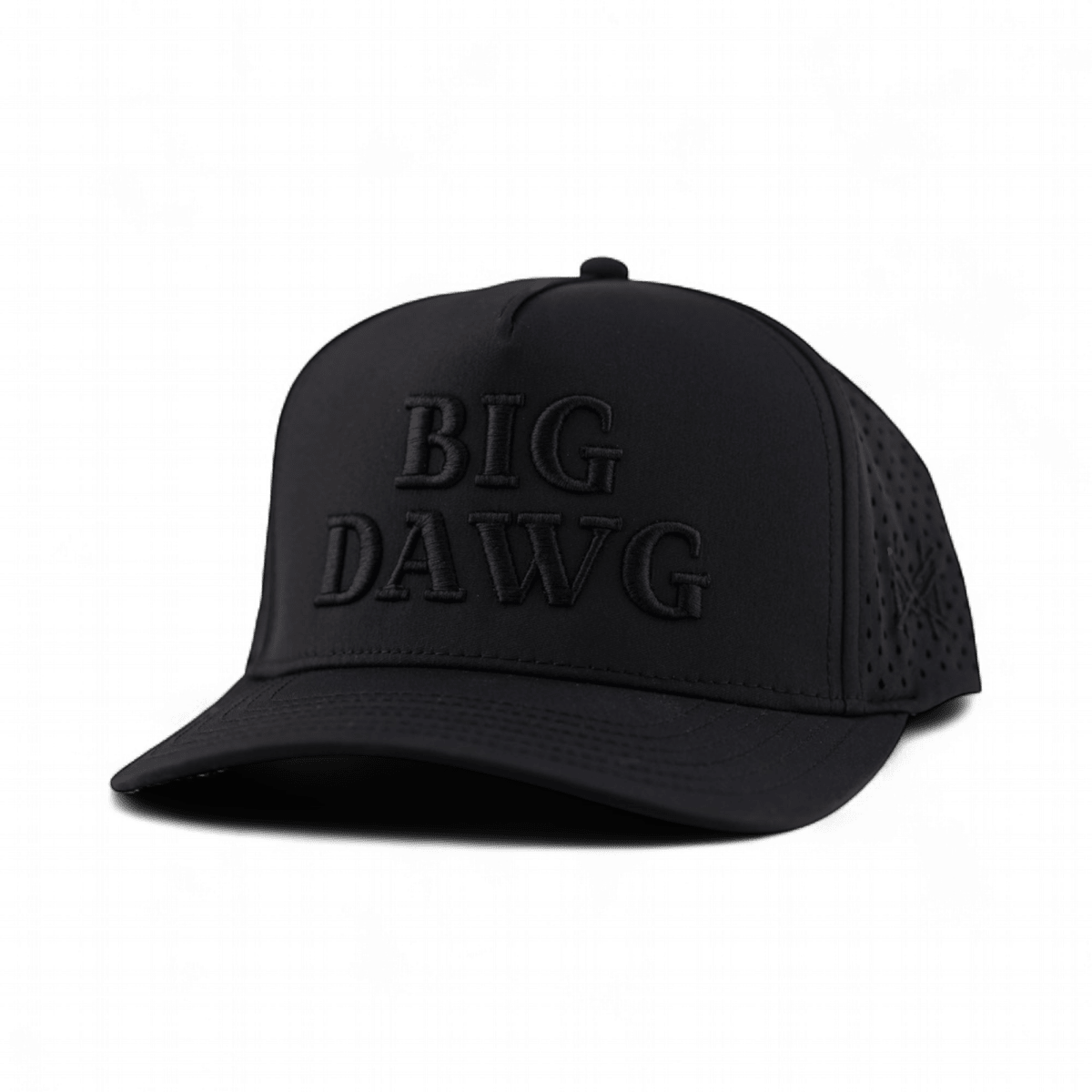 Big Dawg Snapback Hat | madhatter