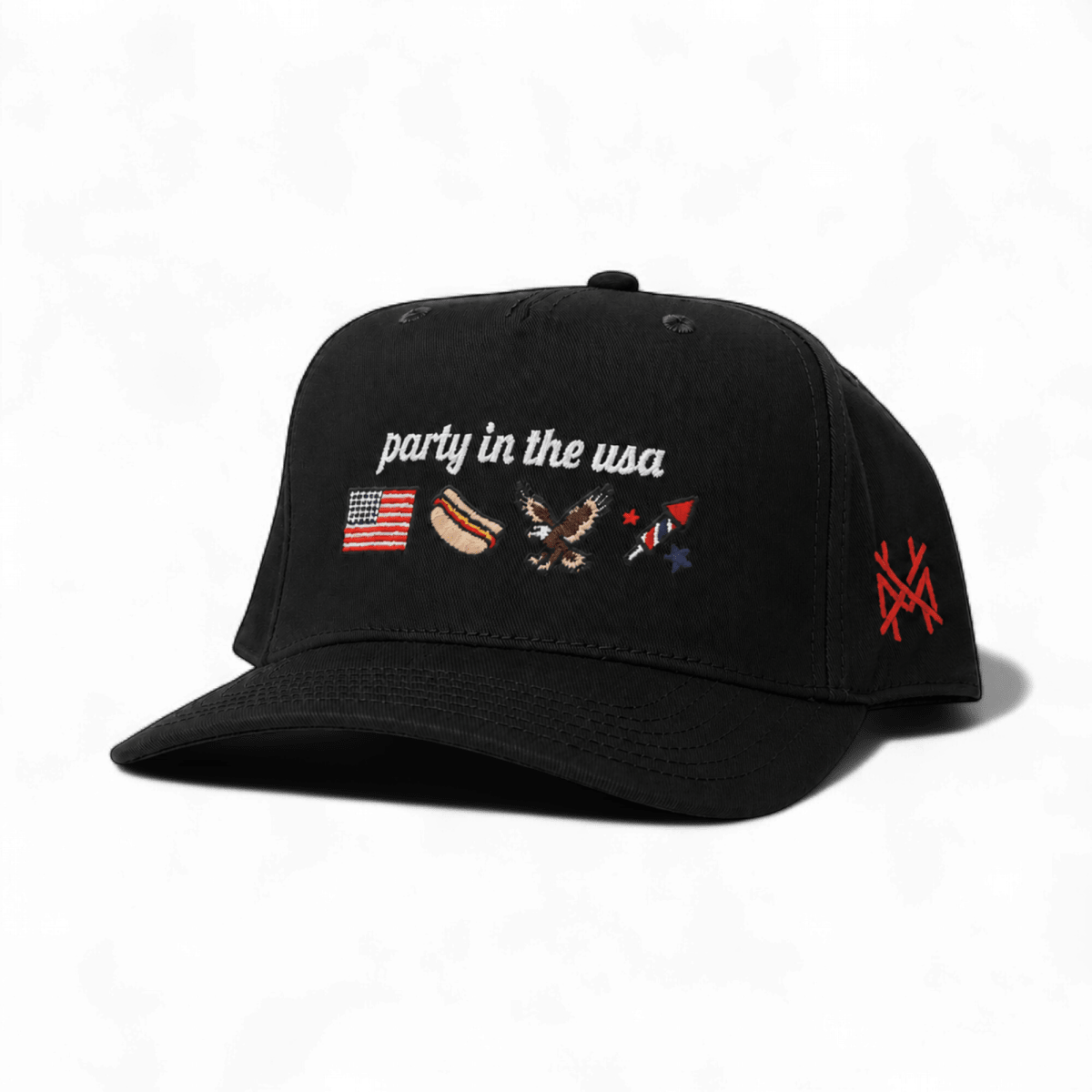 Party in the USA Snapback Hat | madhatter