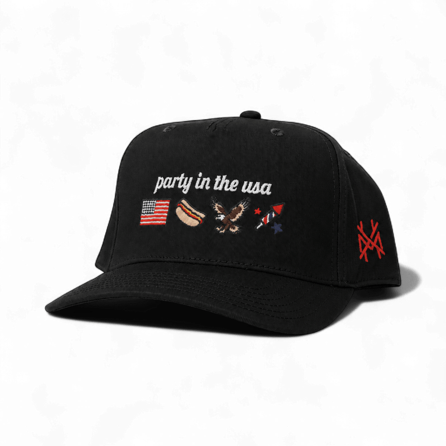 Party in the USA Snapback Hat | madhatter